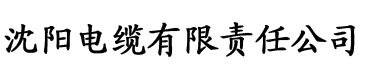 亚洲一区欧美二区三区电缆厂logo